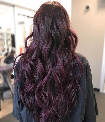 Brandy Luke Hair Salon Beauty Salon & Stylist Sarasota, FL