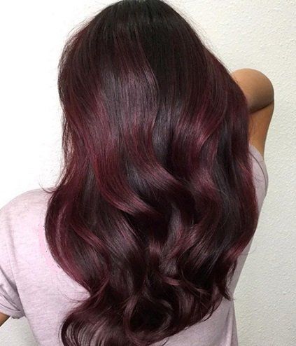 Brandy Luke Hair Salon Beauty Salon & Stylist Sarasota, FL