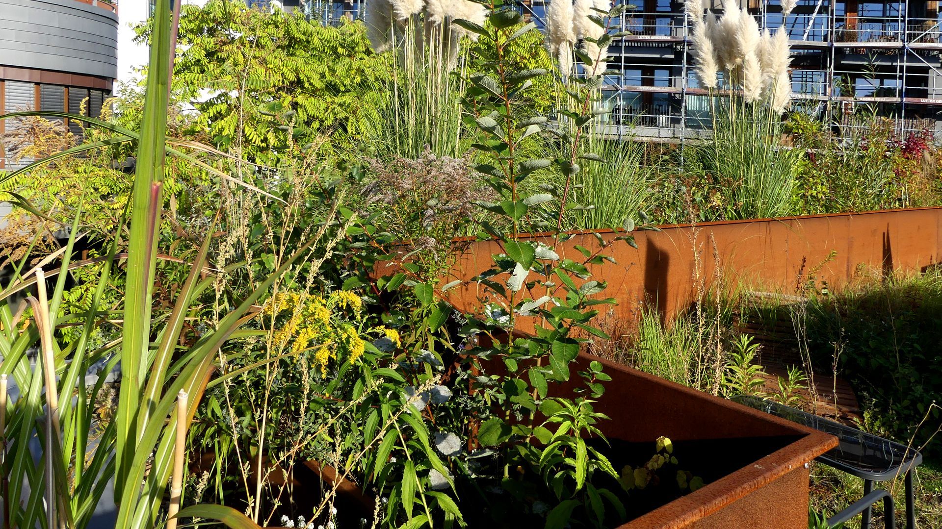 Hochbeetmodule TERENO als Abgrenzung auf der Dachterrasse.