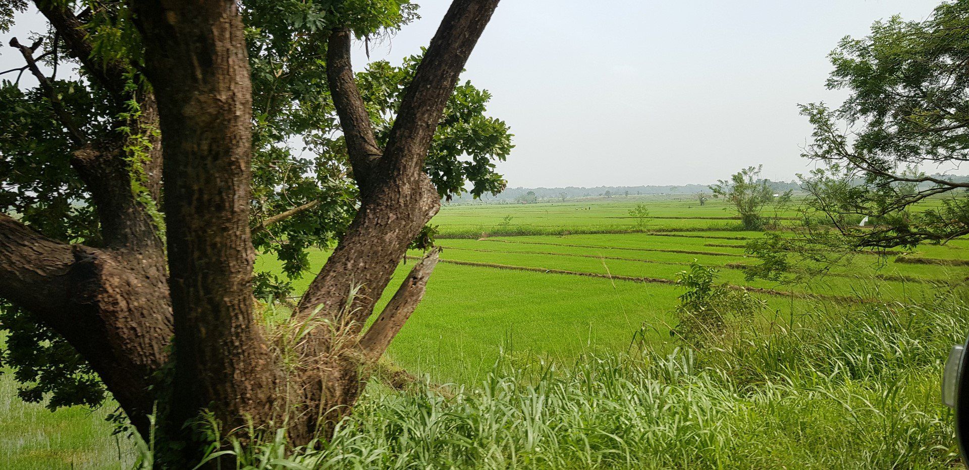 Mahiyanganaya to Ella route