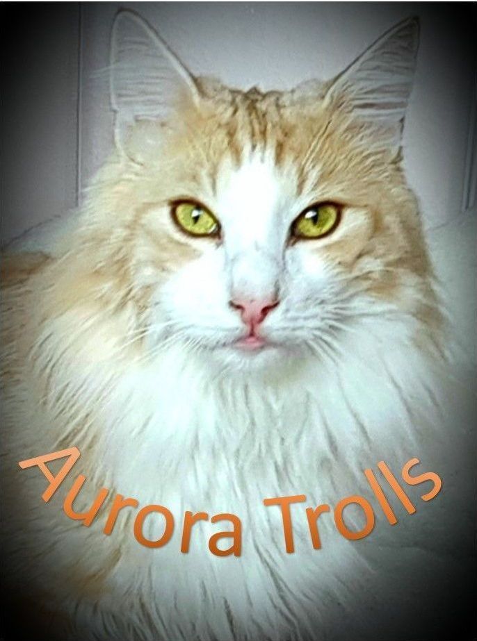 Aurora Trolls - Nero II