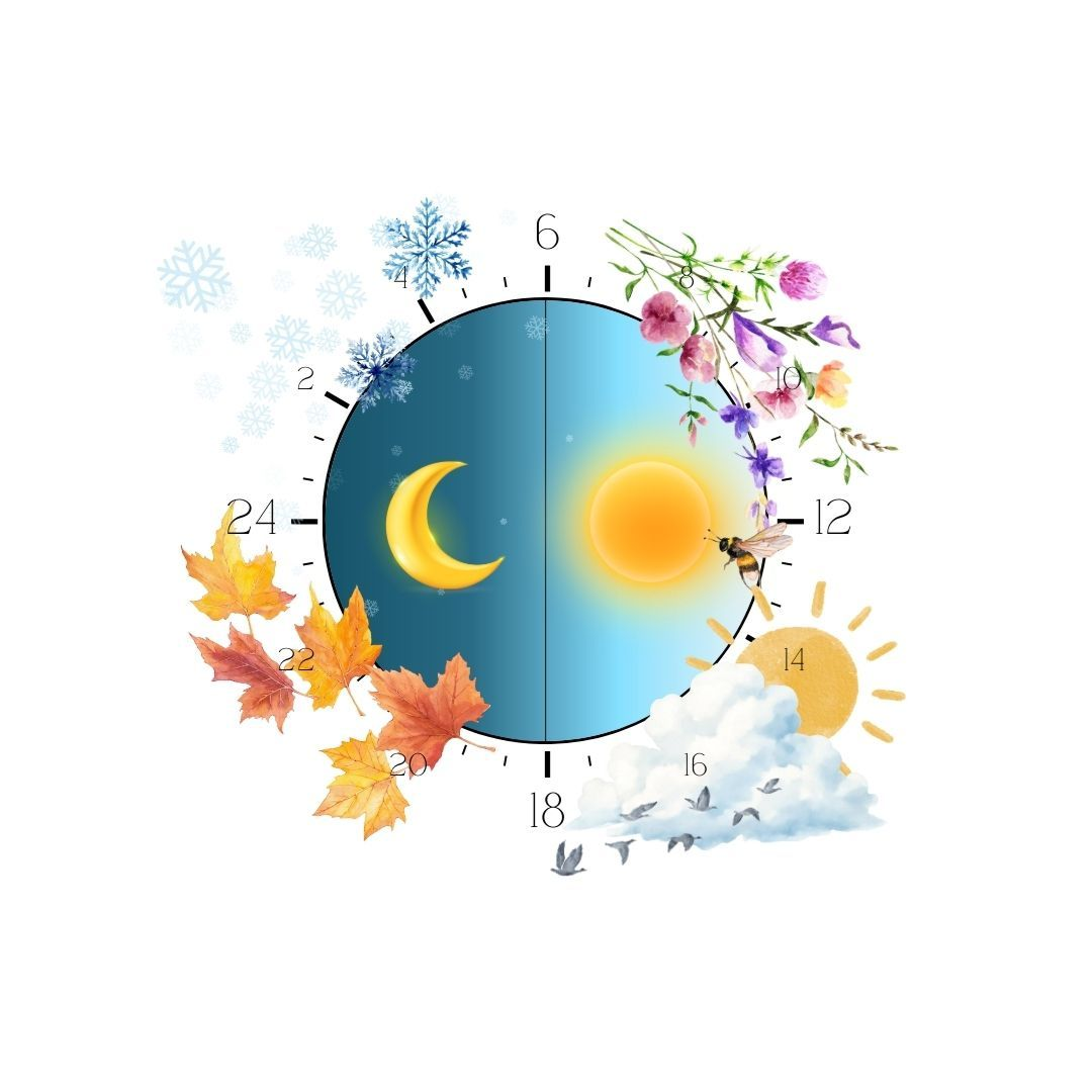 Wir leben in einer Welt der Dauerleistung – oft gegen den natürlichen Takt unseres Körpers.