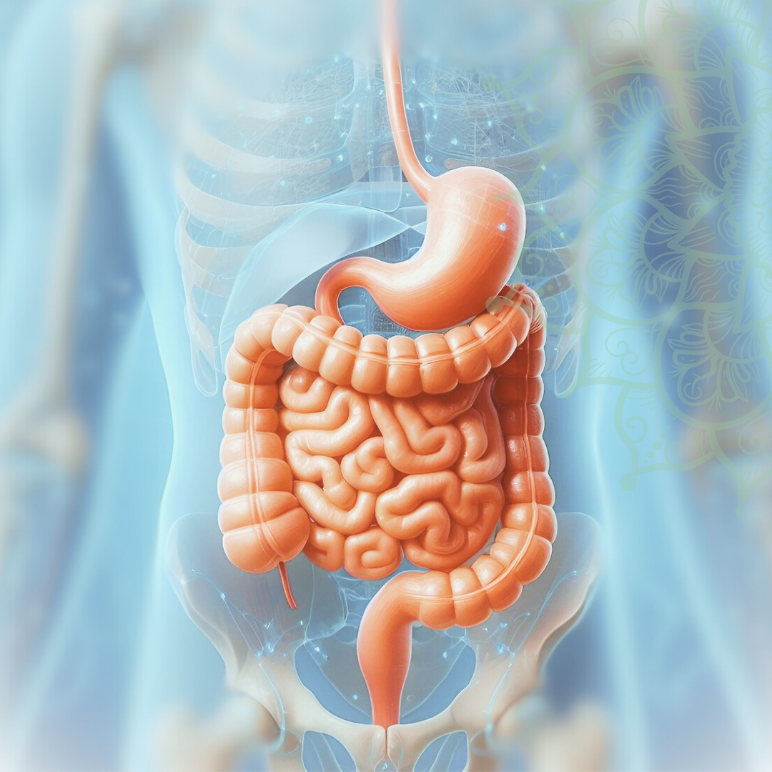 Eine vernachlässigte Darmgesundheit kann zu vielfältigen Beschwerden und Krankheiten führen