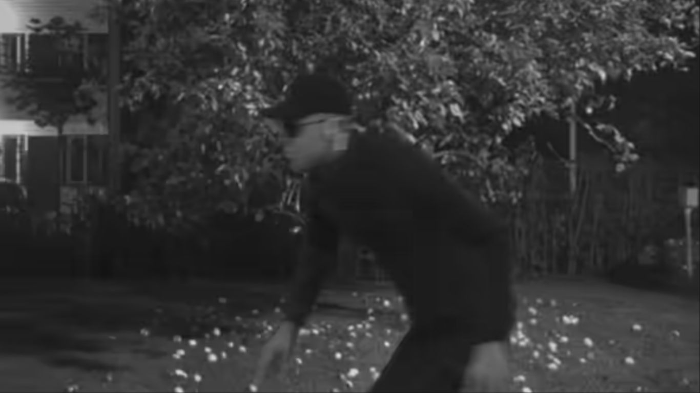 En caso de dudas, los usuarios del sistema pueden comprobar lo que está pasando en la instalación. No es necesario esperar una alarma. Simplemente abra la app, seleccione el detector y verá la situación en el patio en segundos.