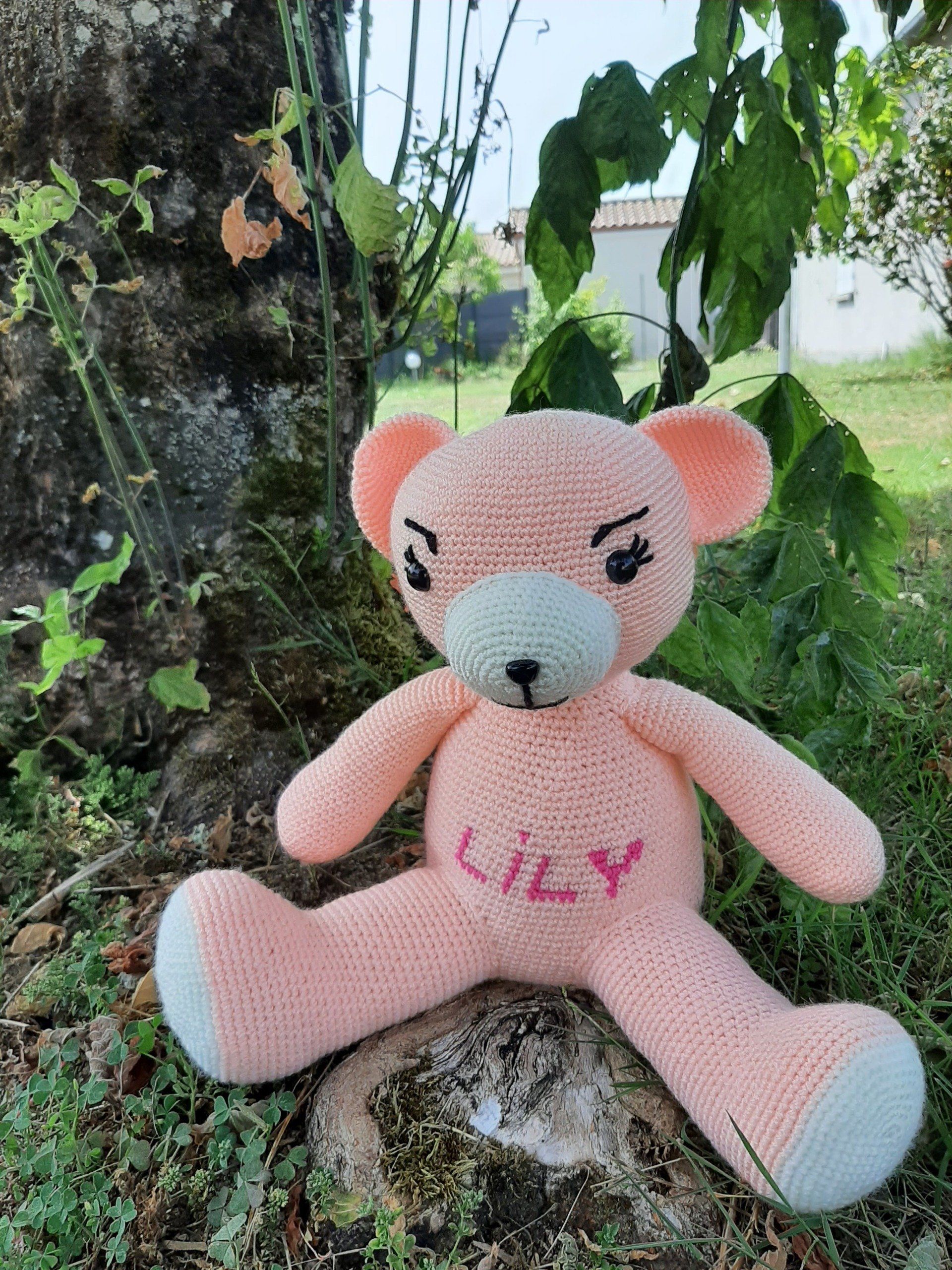 Ourson Teddy rose personnalisé avec son prénom