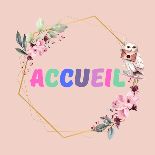 Bouton Acceuil