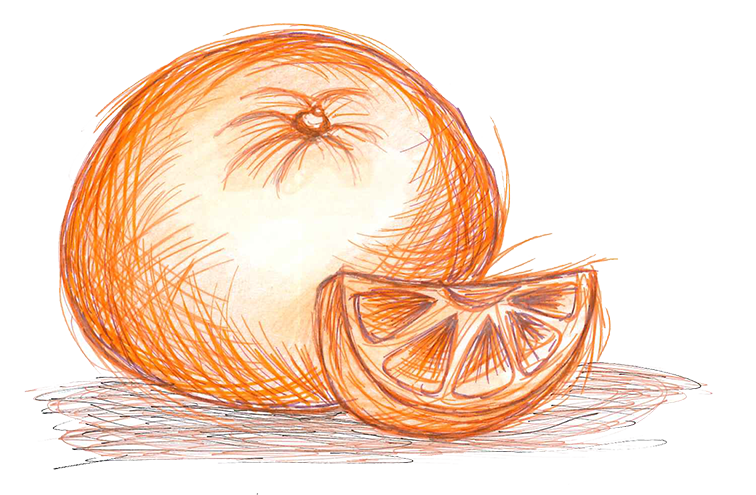 Telefon (Scribble), Kontakt per Telefon, JobVitamin