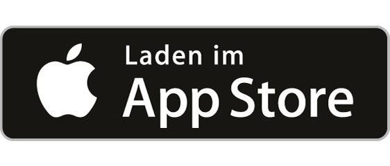 icon app store