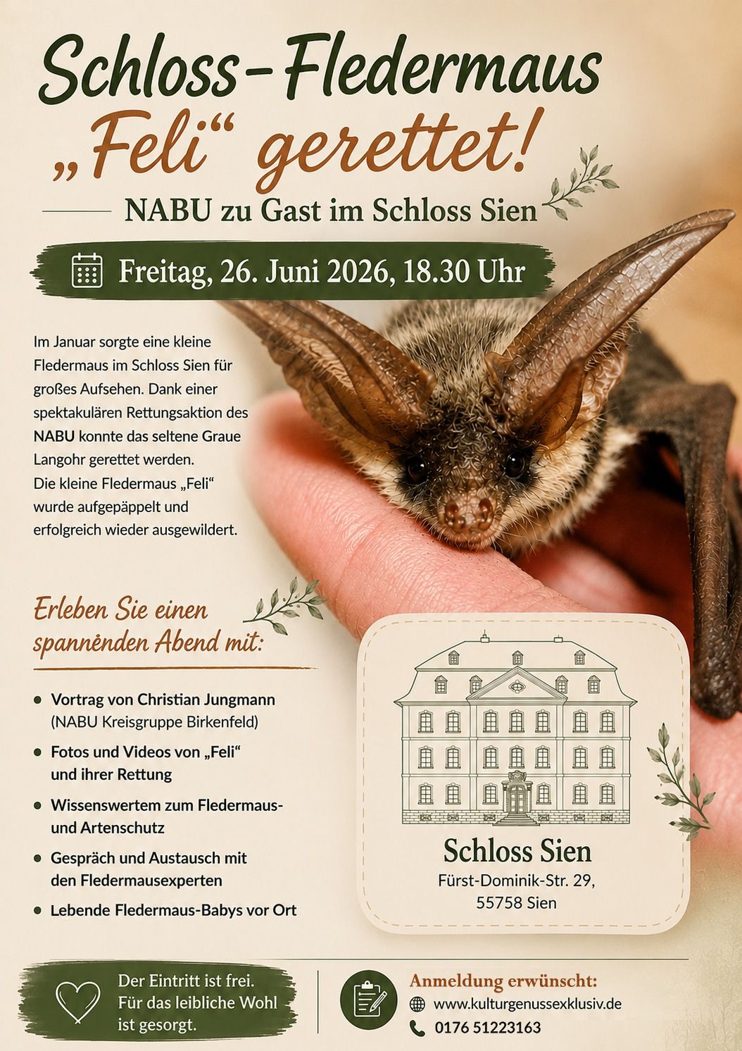 Schloss-Fledermaus Schloss-Fledermaus