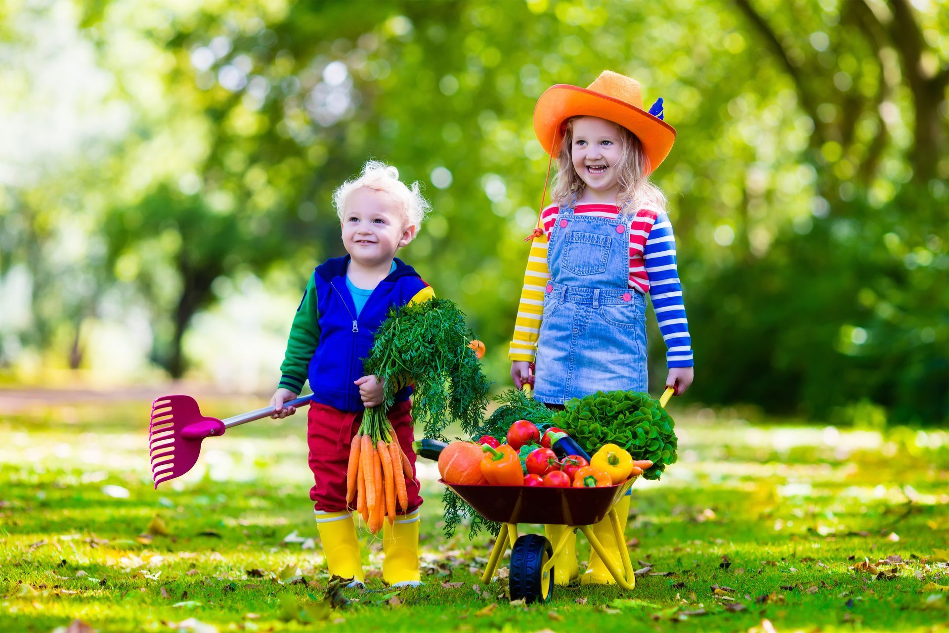 „Gemüseausbildung“ für Kinder „Gemüseausbildung“ für Kinder