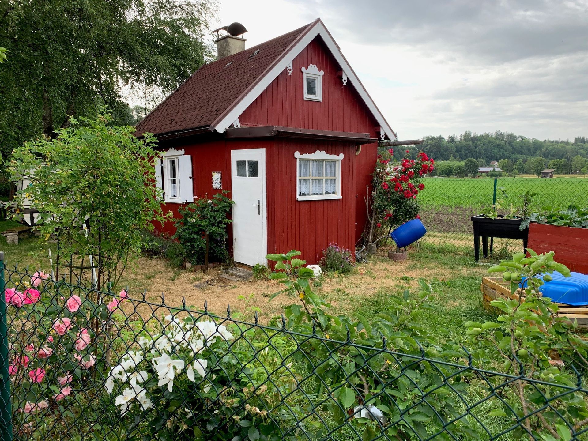 Spaziergang zu Barfußpfad & Wassertretanlage in Wehringen am 21.6.2023 
Wetterglück muss man haben. Bei strahlendem Sonnenschein, aber noch erträglichen Temperaturen, sind wir abends, überwiegend auf Waldwegen, gelaufen. An der Anlage haben wir uns 
abgekühlt und eine kleine Pause mit Snack eingelegt. Es war einfach herrlich!