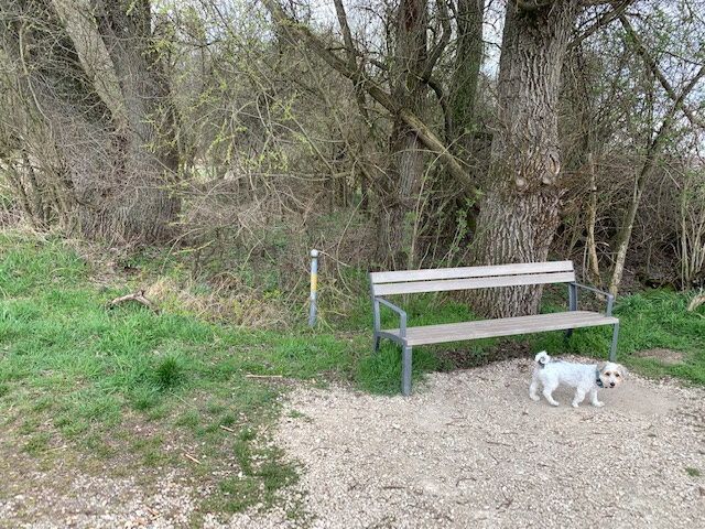 Bild vom Spaziergang Mai 2024