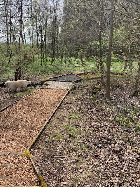 Bild vom Spaziergang zur Wassertretanlage und Barfußpfad am Wald bei Wehringen
