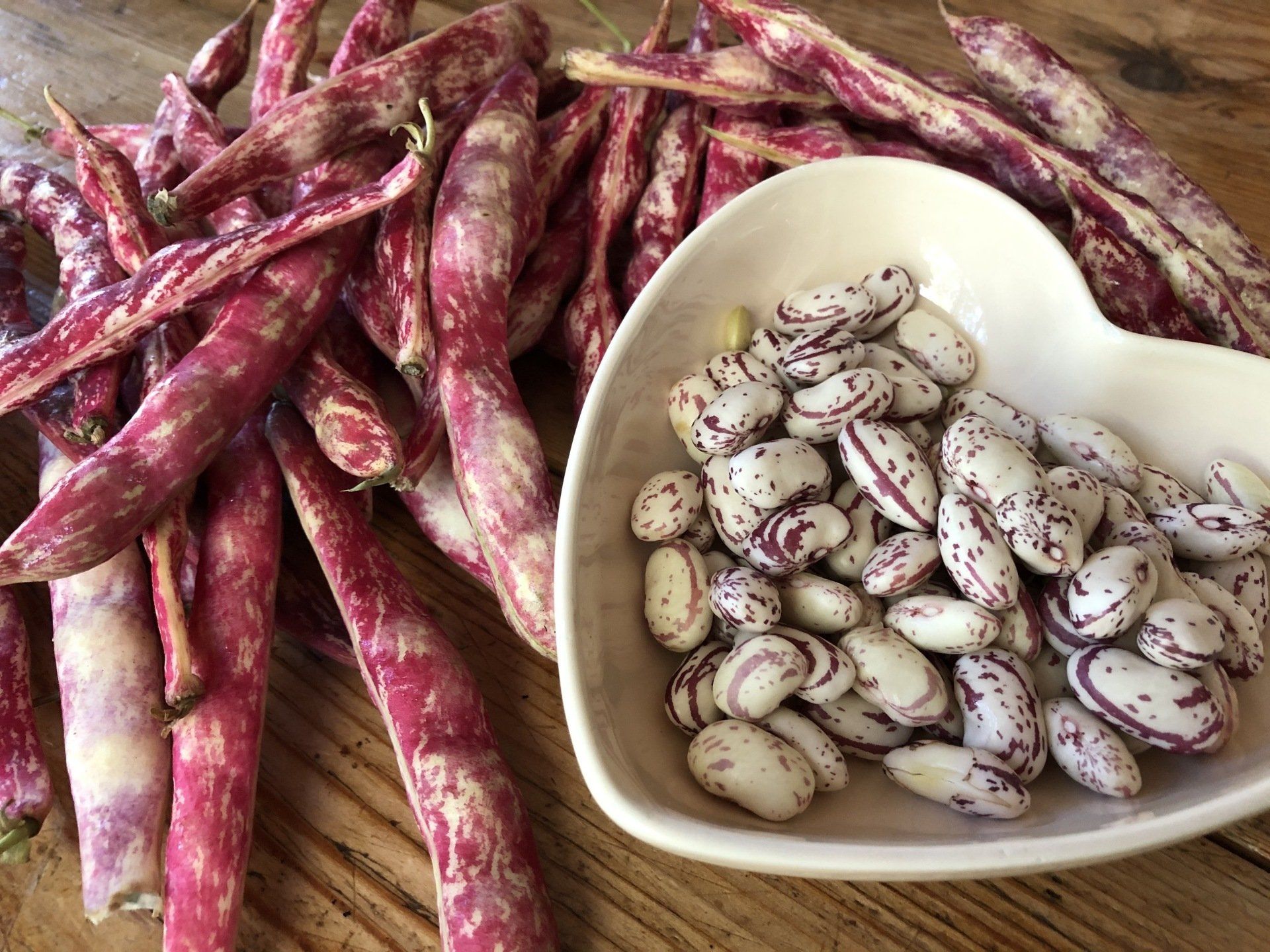 Haricots coco Haricots coco rouges