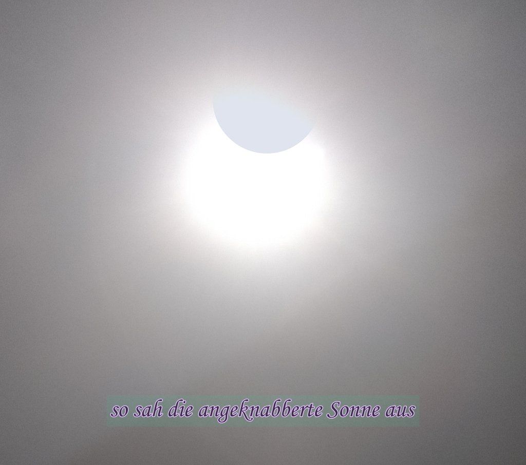 Fotomontage, die Fotomontage, die