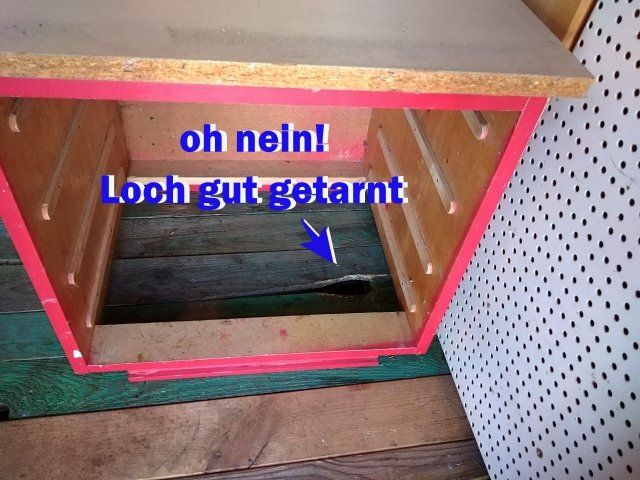 Ratte unter der Hütte, Foto ©Britta Ogasahara