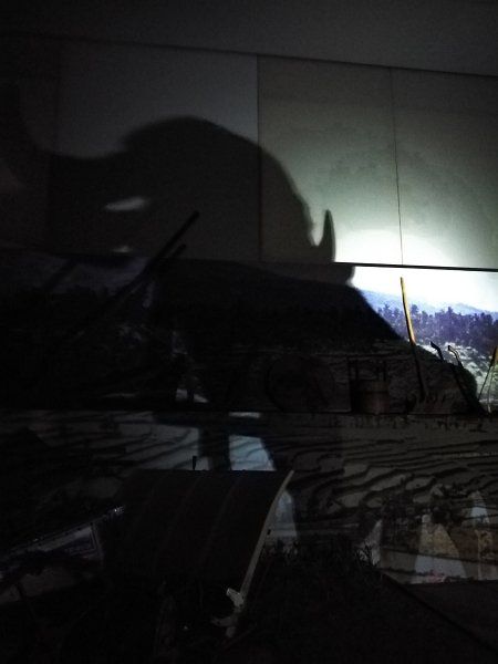 Schatten des Wasserbüffels im Schein der Taschenlampe