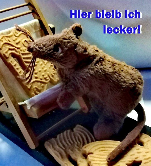 Eine Stoffratte sitzt vor Spekulatius, Foto © Britta Ogasahara Foto: Eine Stoffratte sitzt vor Spekulatius, Text: Hier bleibe ich, lecker! Foto © Britta Ogasahara