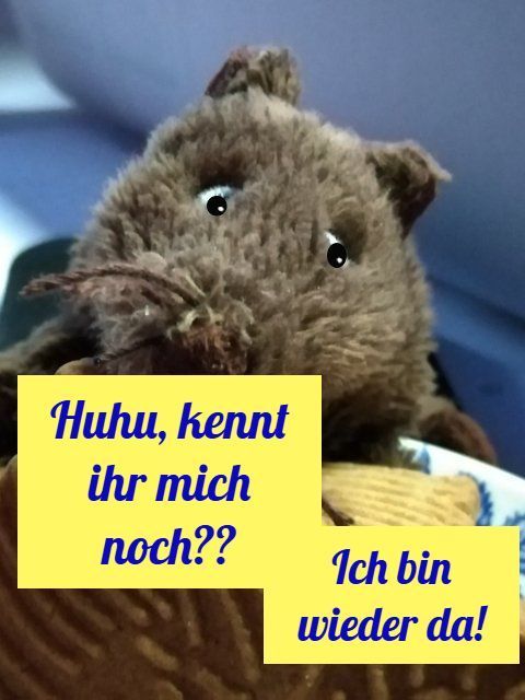 Stoffratte mit dem Text: Huhu, kennt ihr mich noch?? Ich bin wieder da!