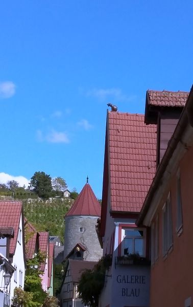 Foto: getöpferte Katze auf dem Dachfirst; Foto ©Britta Ogasahara