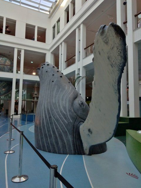 Im Eingang des Museums wird man durch einen kleinen und einen großen Wal begrüßt.