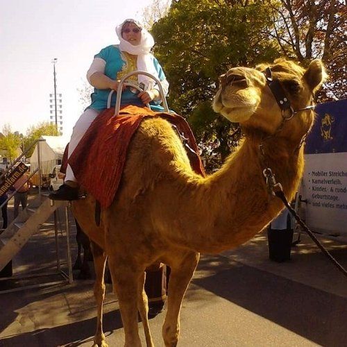 oben auf einem Dromedar, © Foto Britta Ogasahara, Frau in hellblauen Kaftan, Mit weißem Turban auf einem Dromedar, © Foto Britta Ogasahara,