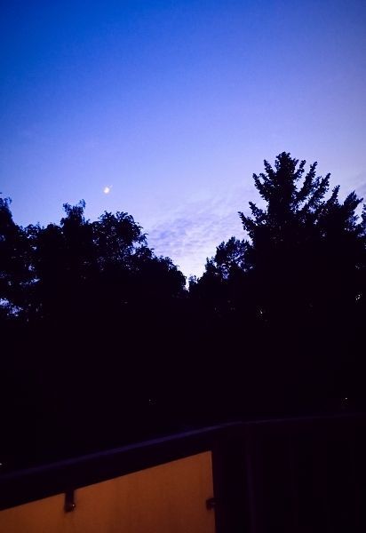 der Himmel ist nachtblau, der Mond stahlt hell und groß und es ist garnicht richtig dunkel