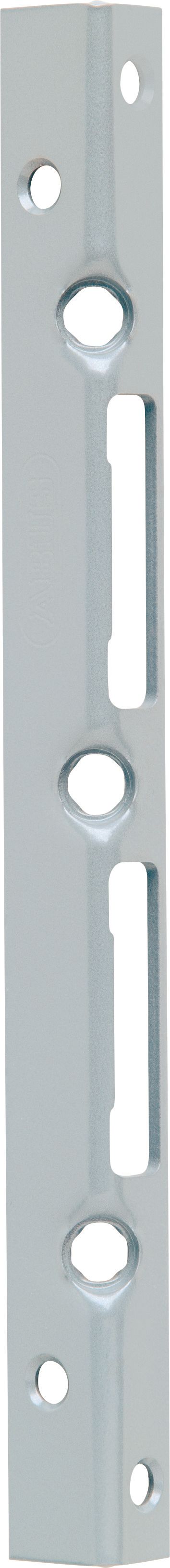 Nahaufnahme eines verstärkten Schließblechs aus robustem Stahl, eingebaut in einen stabilen Türrahmen.