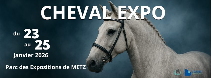 Stage d'initiation à la communication animale