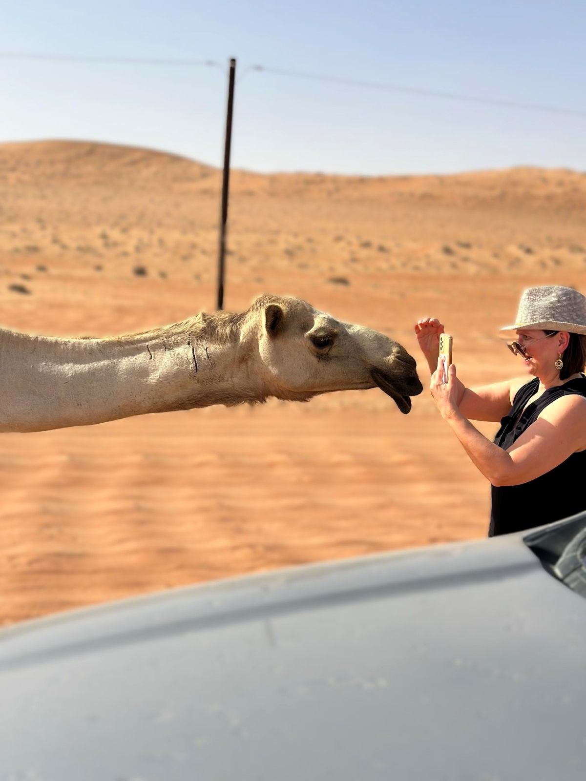 Ich habe Zeit für Sie