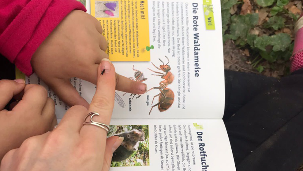 Unsere Projekte, Unsere Projekte, Hier finden Sie Informationen