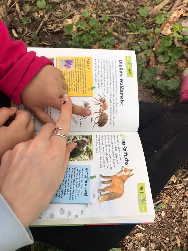 Unsere Projekte - Sankt Martin e.V. Aktion. Wir helfen Helfen - Frankenweg 109, 53604 Bad Honnef