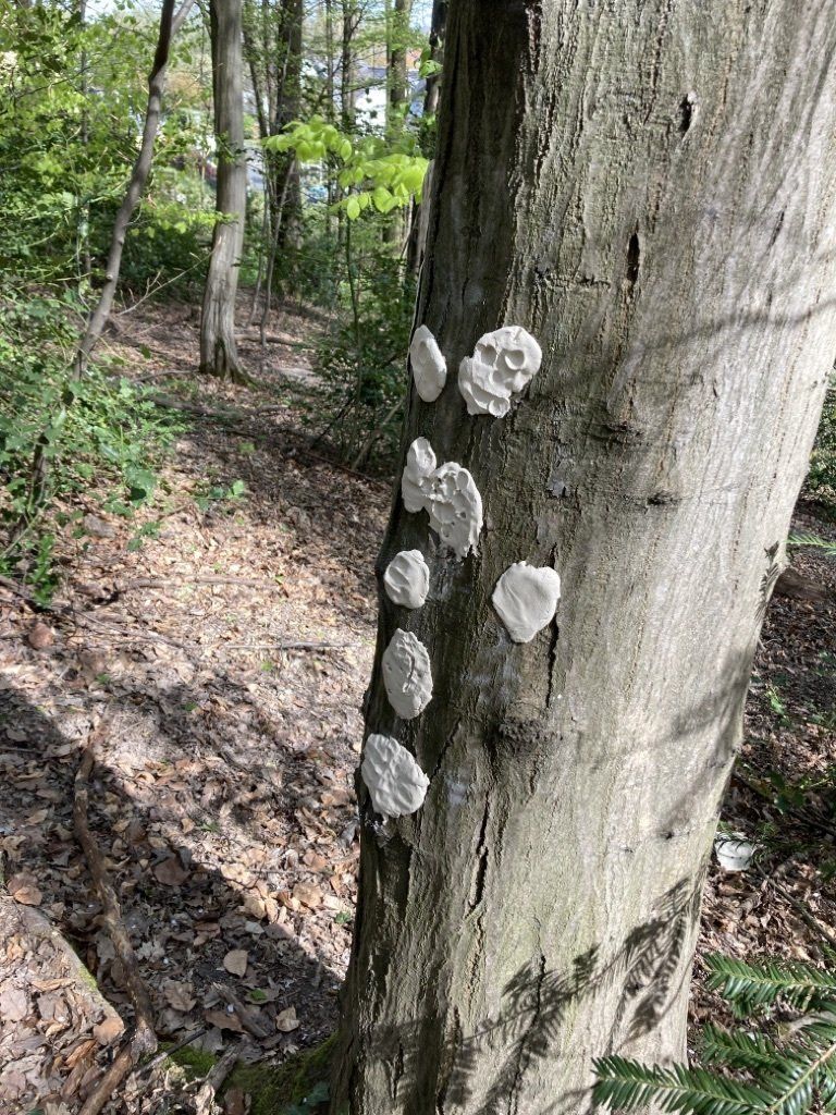 Unsere Projekte - Sankt Martin e.V. Aktion. Wir helfen Helfen - Frankenweg 109, 53604 Bad Honnef