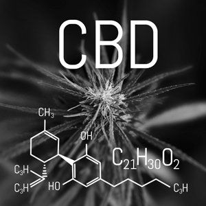 ZeBeDeh - die Wirksamkeit dieses Öls erfahren ZeBeDeh - Wirksamkeit dieses Öls erfahren