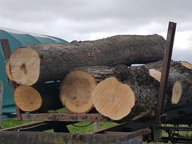 Holzstämme auf dem Weg zum Sägewerk Holzstämme auf dem Weg zum Sägewerk