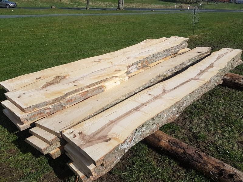 Esche und Ahorn Bretter frisch aus dem Sägewerk Esche und Ahorn Bretter frisch aus dem Sägewerk