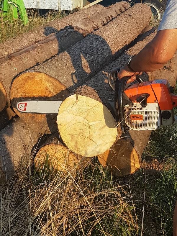 Holzstämme werden in Scheiben gesägt Holzstämme werden in Scheiben gesägt
