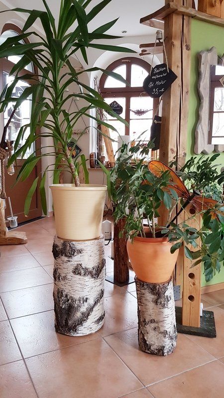 Birkenstämme als Pflanzenhocker natur Exklusives Lieblingsstück Unikat Handarbeit