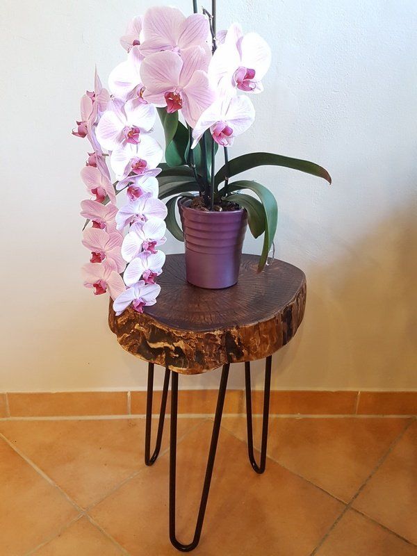 Hocker Beistelltisch aus Ahorn Baumscheibe gebeizt Exklusives Lieblingsstück Unikat Handarbeit