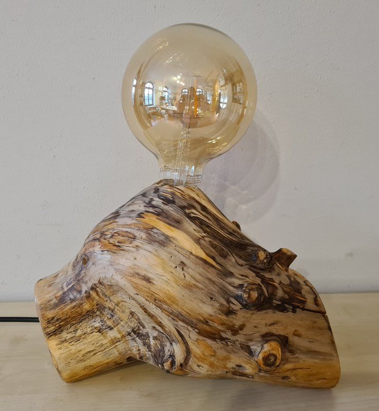 Tischlampe aus Ast Unikat Exklusives Lieblingsstück
