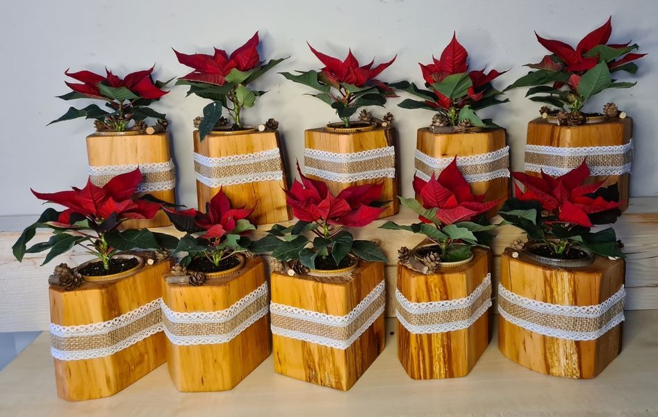 Gaststättendekoration Tischdekoration Holzdeko Übertopf Weide Exklusives Lieblingsstück