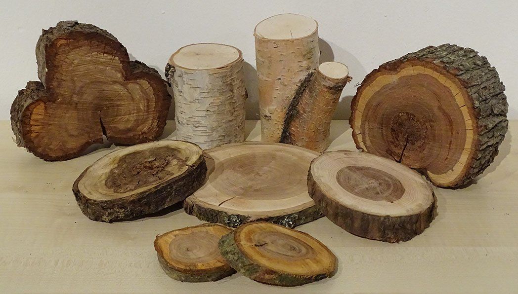 Bastelmaterial Baumscheiben, Holzstämme, Holzscheiben Bastelmaterial Baumscheiben, Holzstämme, Holzscheiben, Pflaume, Birke