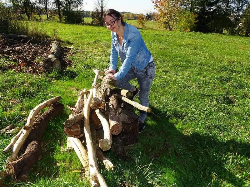 Steba Design Holz Material