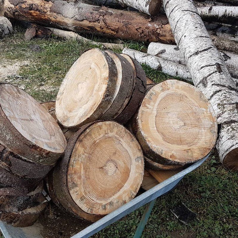 gesägte Scheiben aus dem Fichtenstamm gesägte Scheiben aus dem Fichtenstamm
