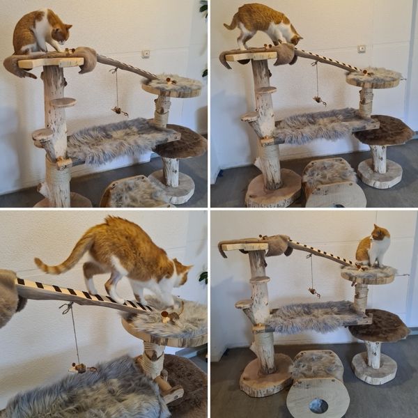 Katzenkratzbaum aus Naturholz