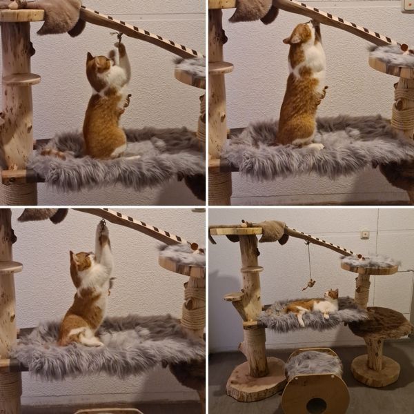 Katzenkratzbaum aus Naturholz
