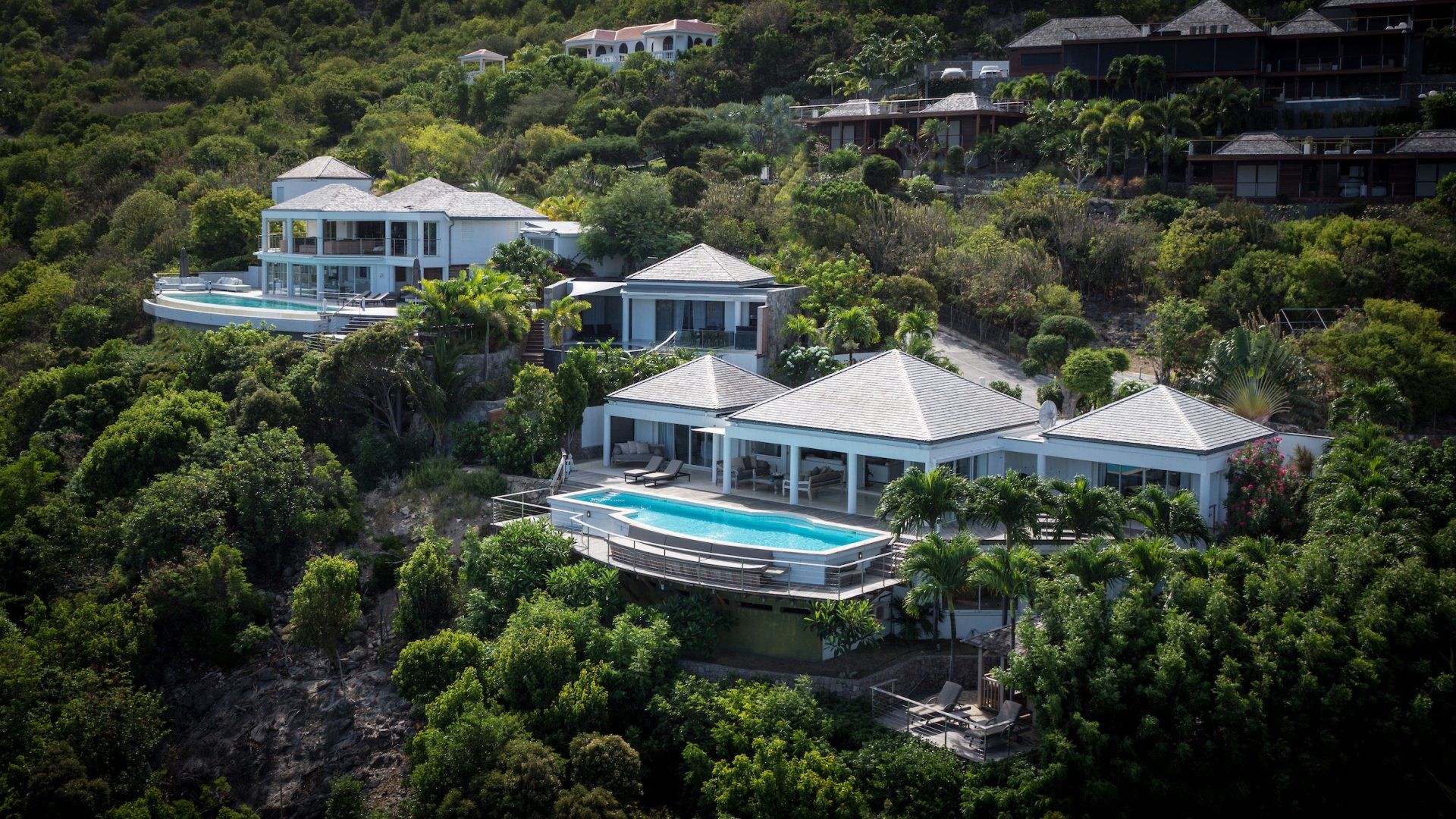 Credit Photo: Abigail Leese