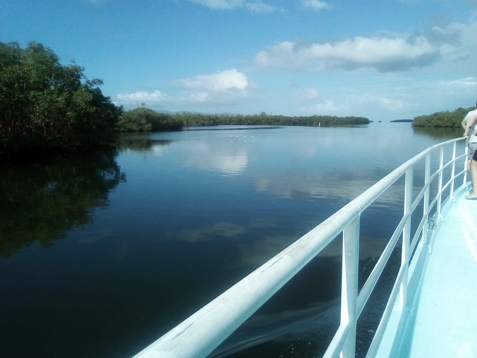 flibustier h2o mangrove