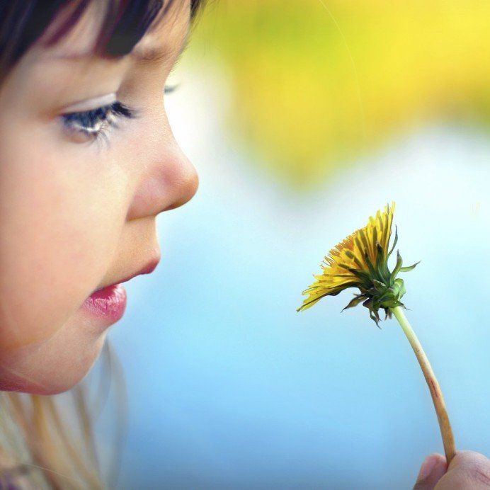 Das Gesicht eines Kindes wird von der Seite abgebildet, während es eine gelbe Löwenzahn-Blüte anschaut