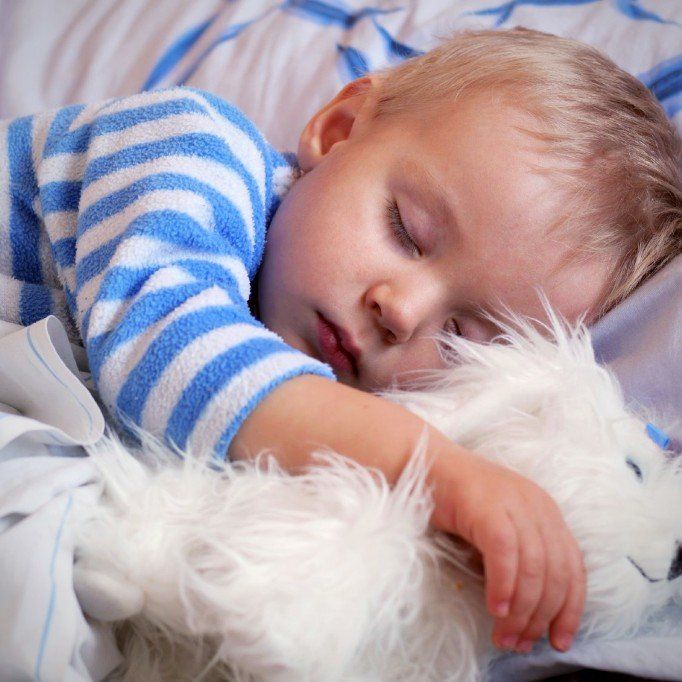 ein schlafendes Kleinkind kuschelt mit einem weißen Kuscheltierhund
